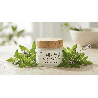 Crème visage Althéa – Hydratation florale