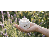 Crème visage Althéa – Hydratation florale
